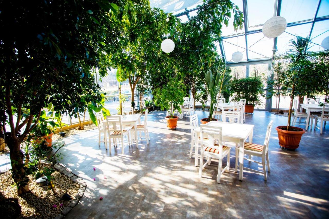 Hotel Luka Radom Exteriér fotografie